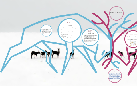 CAD/CAM vs Handmade by Matthew Pybus on Prezi