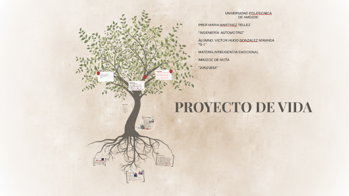 PROYECTO DE VIDA by Victor Hugo Gonzalez Miranda on Prezi