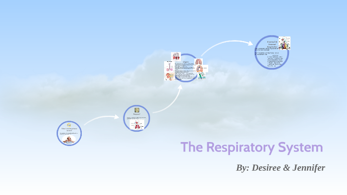 The Respiratory System by Jennifer Lopez on Prezi Next