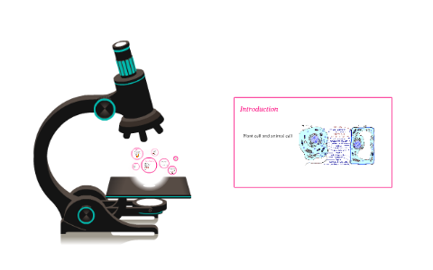 Plant cell by on Prezi