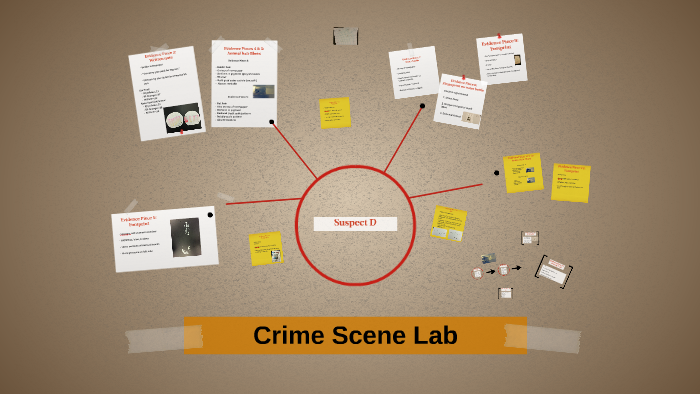 Crime Scene Lab By Emma Lewis