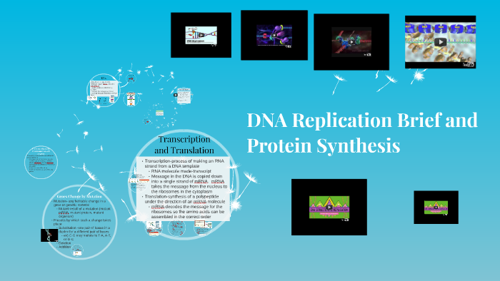 DNA Replication by Sarah Rodney on Prezi