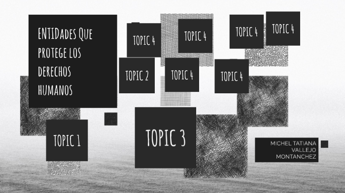 ENTIDADES QUE PROTEGEN LOS DERECHOS HUMANOS by Yenni Lorena Montanchez ...