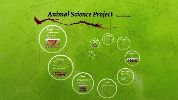 Animal Science Project by Meghan Satterfield on Prezi