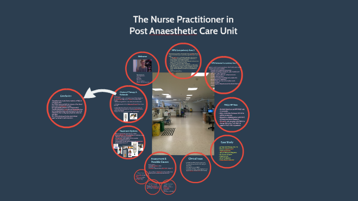 The Nurse Practitioner in the Post Anaesthetic Care Unit by taissa usatoff