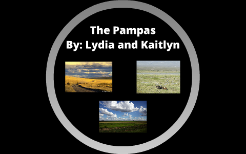 The Pampas by Lydia Abraham on Prezi