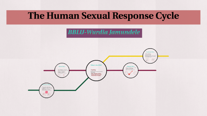 The Human Sexual Response Cycle By Nadia Jammal On Prezi
