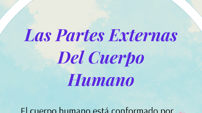 Las Partes Externas Del Cuerpo Humano by Arlette Cruz on Prezi