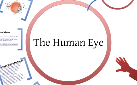 The Human Eye by Aazim Javed on Prezi