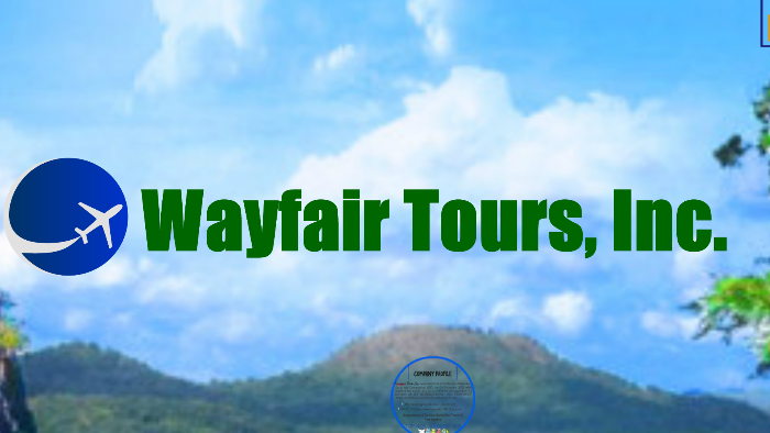 wayfair tours inc