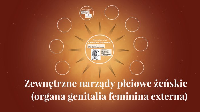 Zewnętrzne narządy płciowe żeńskie by Agata Piotrowska on Prezi