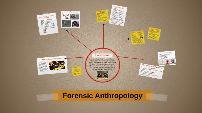 forensic anthropology phd europe