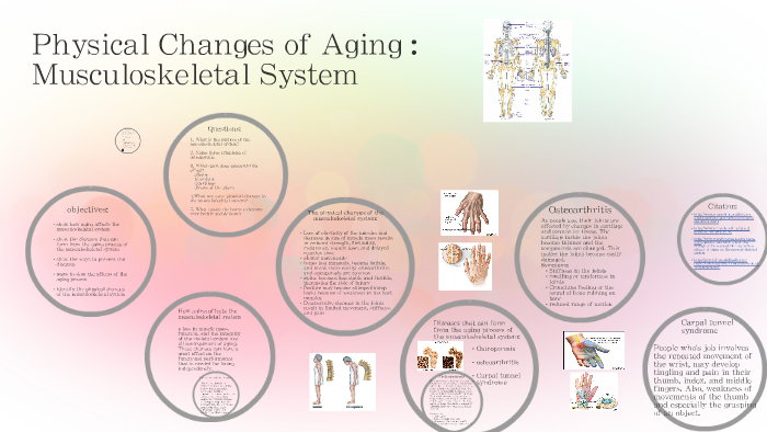 Physical Changes Of Aging By Alissa Pasley