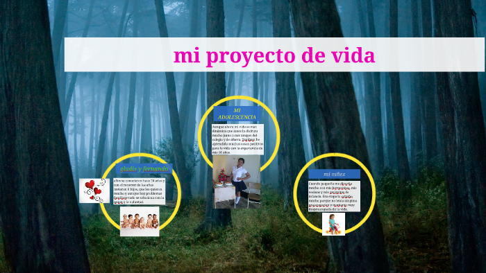 mi proyecto de vida by geraldine villanuev carrillo on Prezi