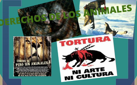 derechos de los animales by mariana manjarrez on Prezi