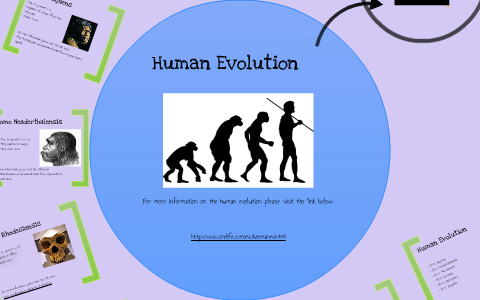 Tarantino Human Evolution by Marina Tarantino on Prezi