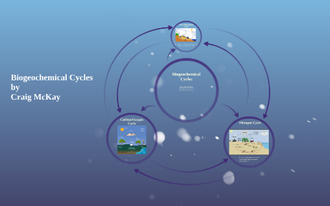 Biogeochemical Cycles by Craig McKay on Prezi