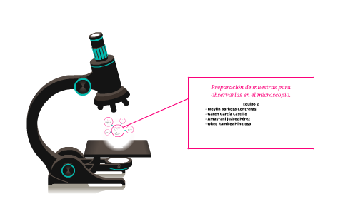 Preparación De Muestras Para Observarlas En El Microscopio. By Amy Jp ...