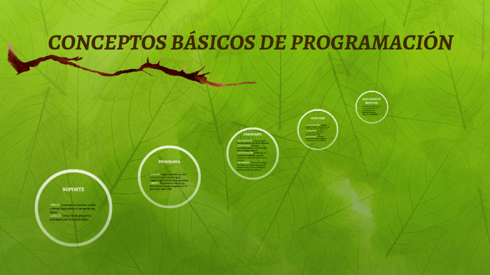 CONCEPTOS BÁSICOS DE PROGRAMACIÓN by Julian Morales on Prezi