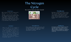 Nitrogen Cycle by H Pizzle on Prezi