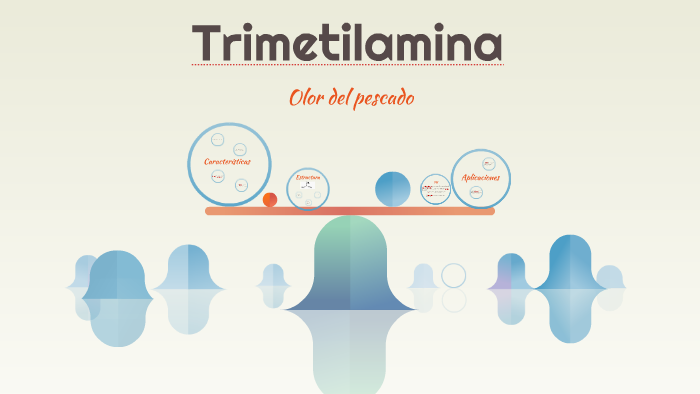 Trimetilamina by María Sarmiento on Prezi