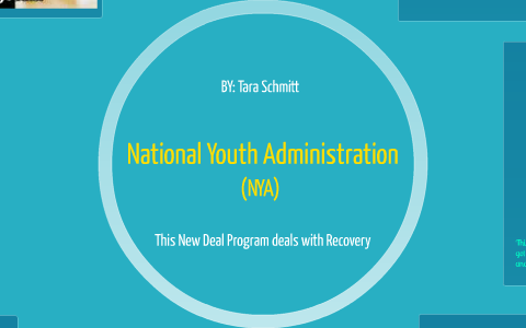 NATIONAL YOUTH ADMINISTRATION FACTS visual data 3