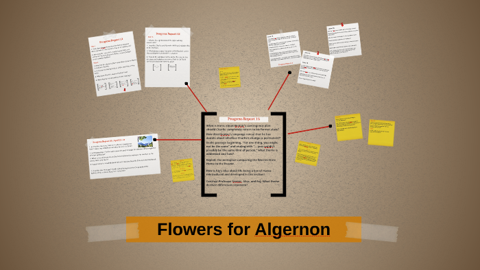 Flowers For Algernon By Gerard Noipann