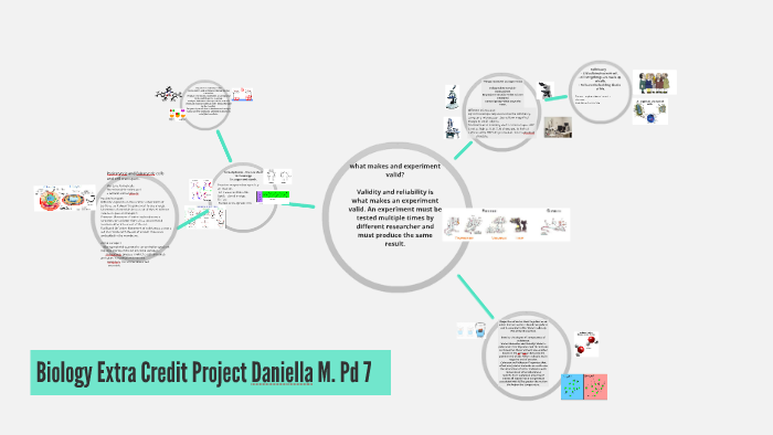 what-makes-and-experiment-valid-by-daniella-malcolm