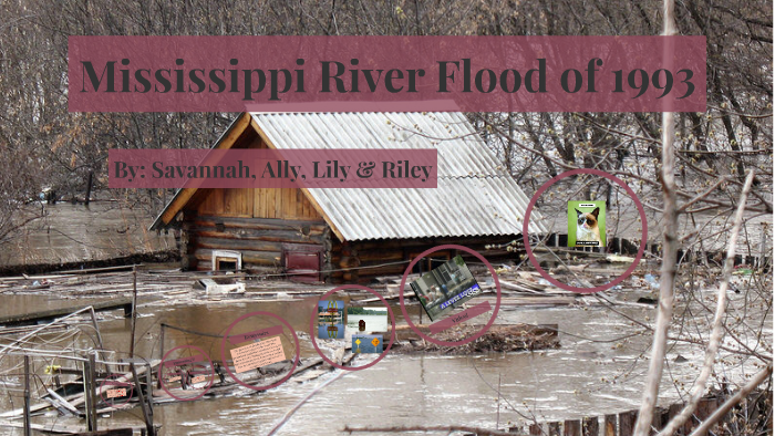 mississippi river 1993 flood case study