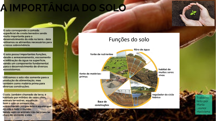 5ºC-A IMPORTÂNCIA DO SOLO by leonor cordeiro on Prezi