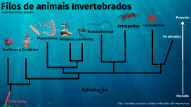 cladograma de invertebrados