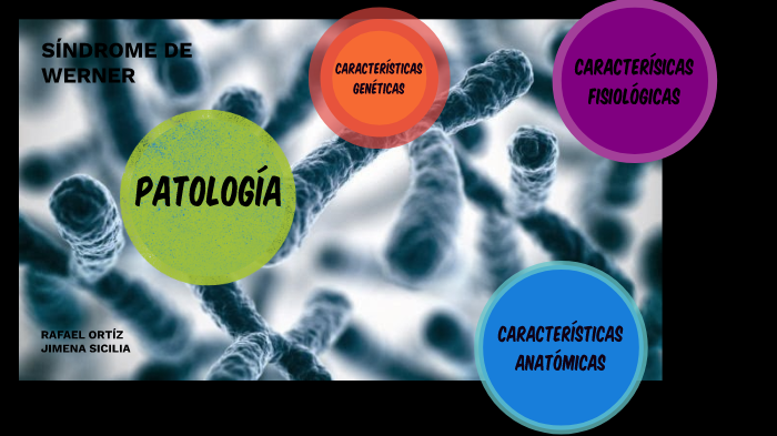 Síndrome de Wener by Jimena G on Prezi