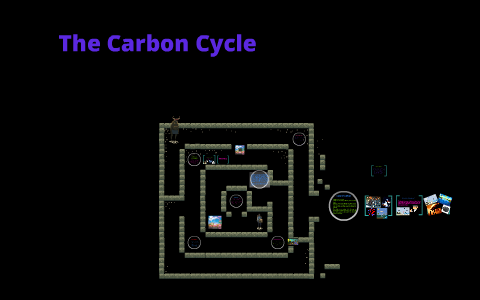The Carbon Cycle by Ashlee Taylor on Prezi