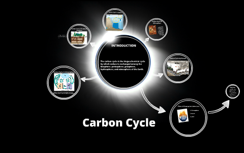 Carbon Cycle by YICONG LI on Prezi