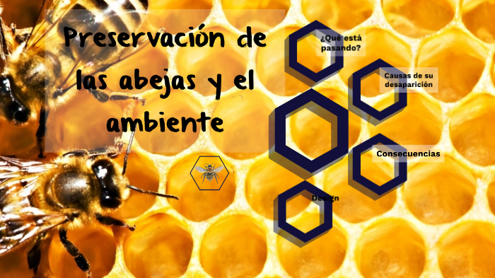 Preservación De Las Abejas By Camilius 5980 On Prezi