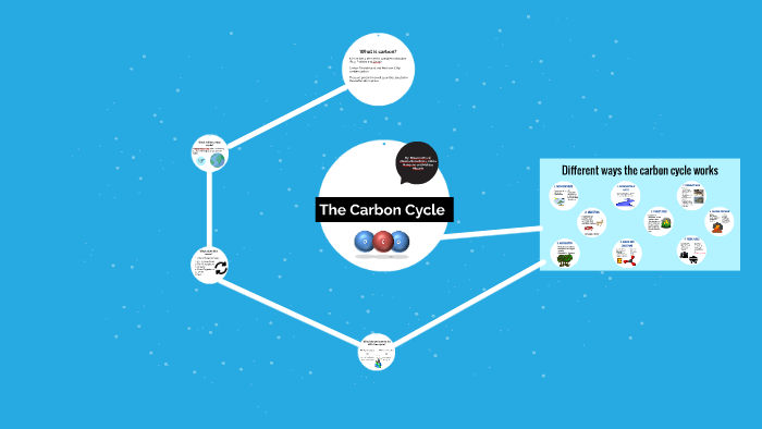 Carbon Cycle by Olivia Mangano on Prezi