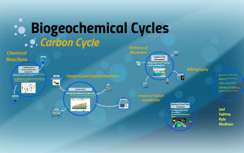 Biogeochemical Cycles by madison kyle on Prezi