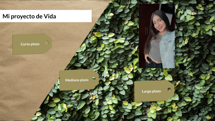 Mi proyecto de vida by mariana piñeros on Prezi
