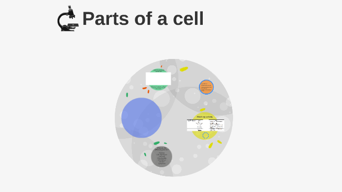 Cell organelles-Y8 intensive by David Gabb on Prezi