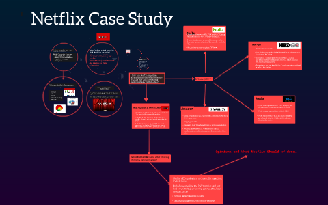 case study of netflix