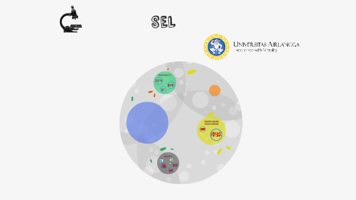 Sel By Hariz Muharram On Prezi