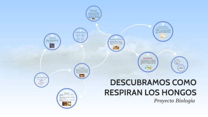 DESCUBRAMOS COMO RESPIRAN LOS HONGOS by Proyectos Investigacion on Prezi