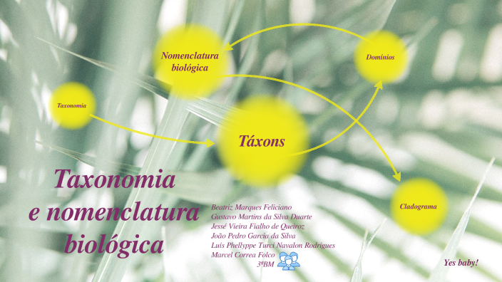 Mapa Conceitual - Taxonomia E Nomenclatura Biológica By Marcel Folco On ...