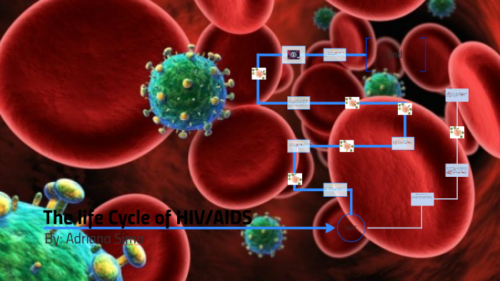 Hiv Life Cycle Animation
