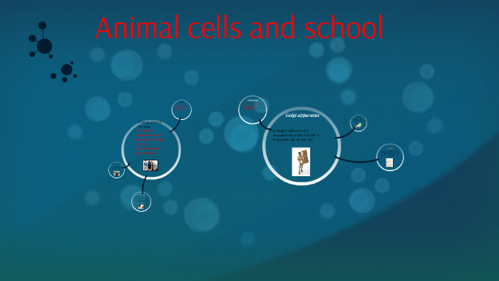 Animal cells and school by jose martinez on Prezi