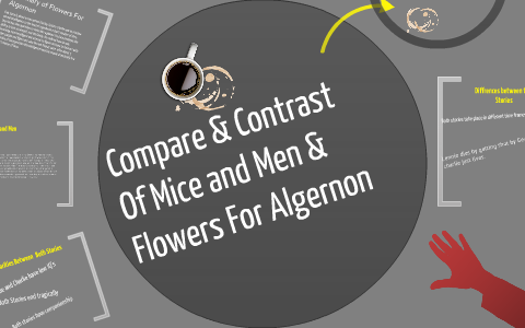 compare and contrast essay flowers for algernon