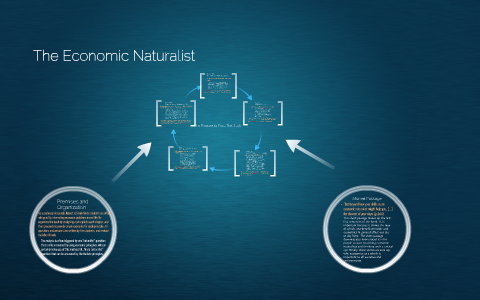 economic naturalist essay examples