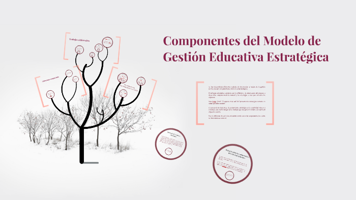 Componentes del Modelo de Gestión Educativa Estratégica by Lucía Díaz Leal