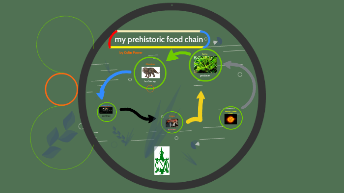 my prehistoric food chain by Colin Power on Prezi Biology Diagrams