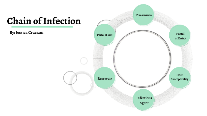 Chain of Infection by Jessica Cruciani on Prezi